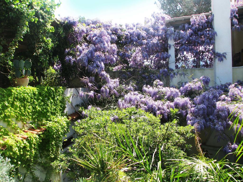 B&B La Salamandra Kitchengarden Forio  Exterior photo