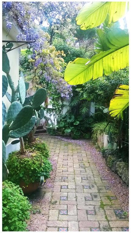 B&B La Salamandra Kitchengarden Forio  Exterior photo