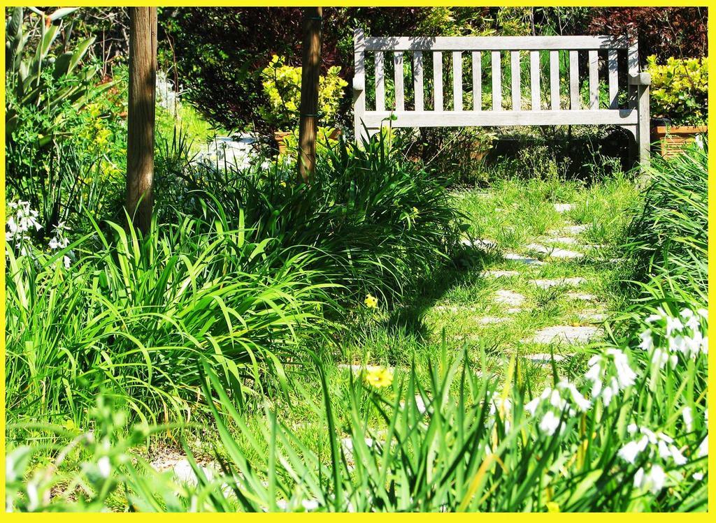 B&B La Salamandra Kitchengarden Forio  Exterior photo
