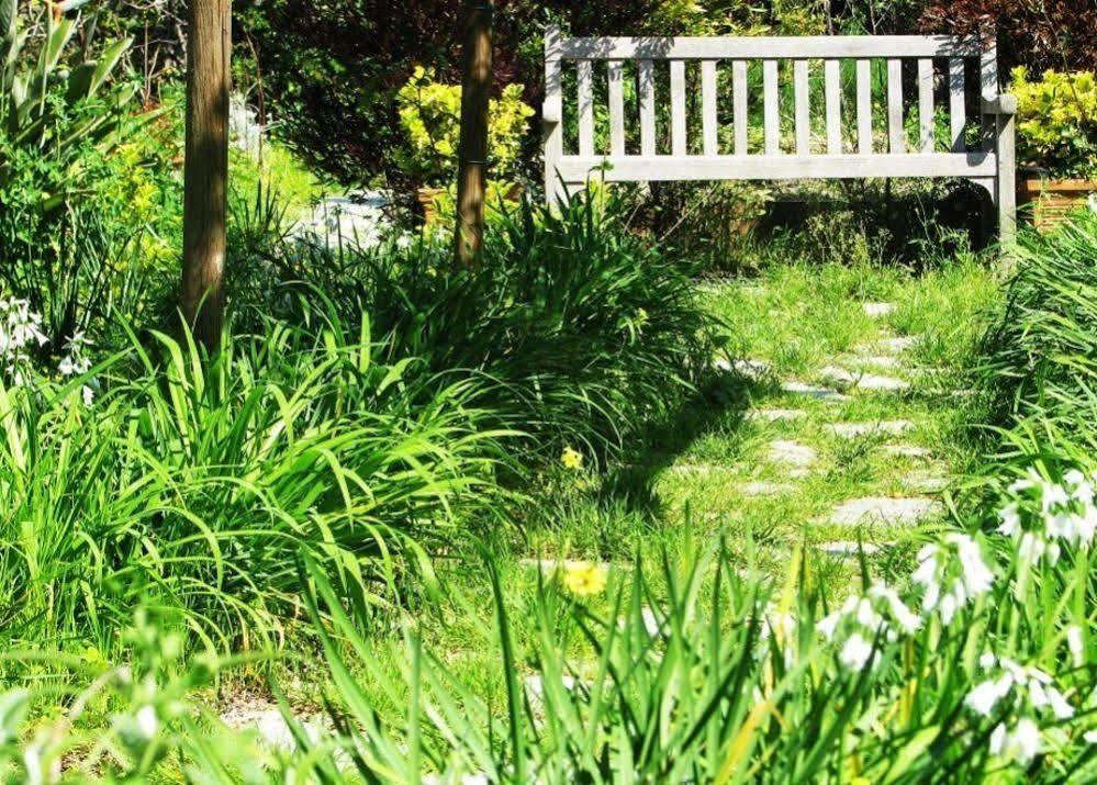 B&B La Salamandra Kitchengarden Forio  Exterior photo