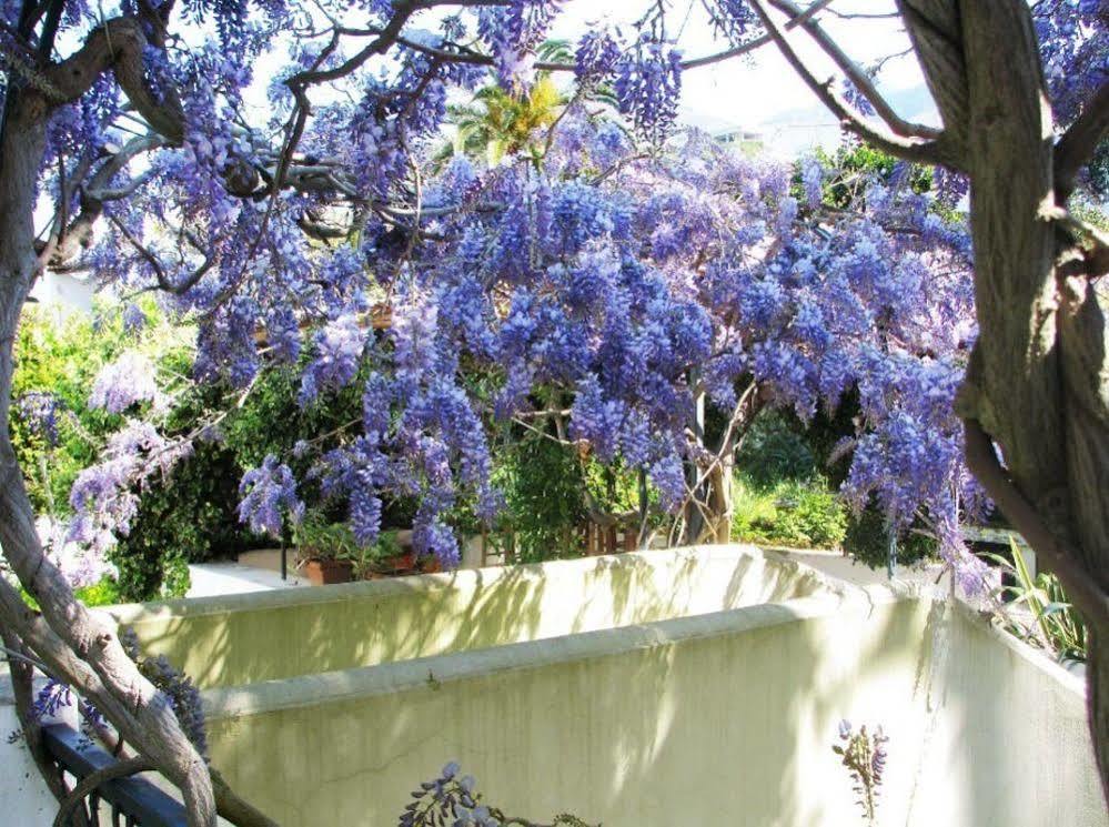 B&B La Salamandra Kitchengarden Forio  Exterior photo