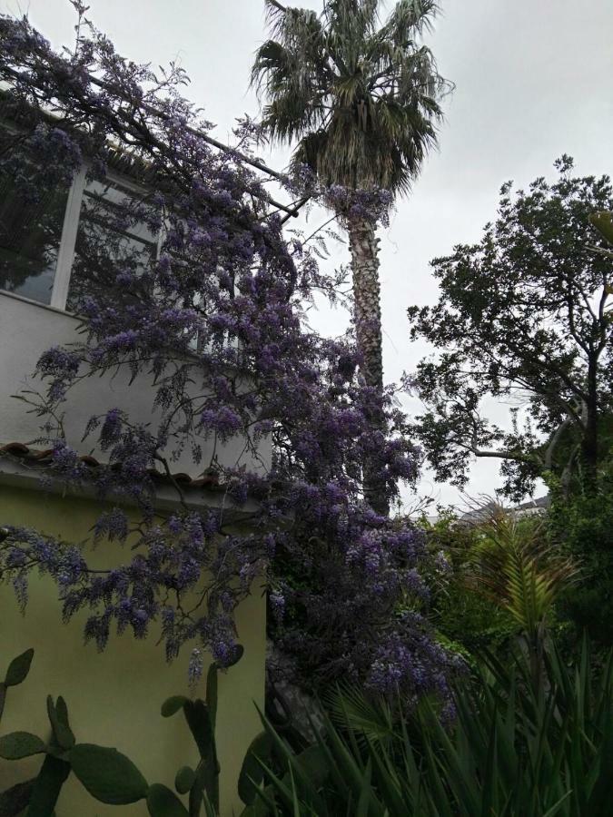B&B La Salamandra Kitchengarden Forio  Exterior photo